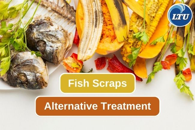 5 Different Ways to Treat Fish Scraps